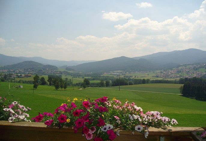 Bild 15