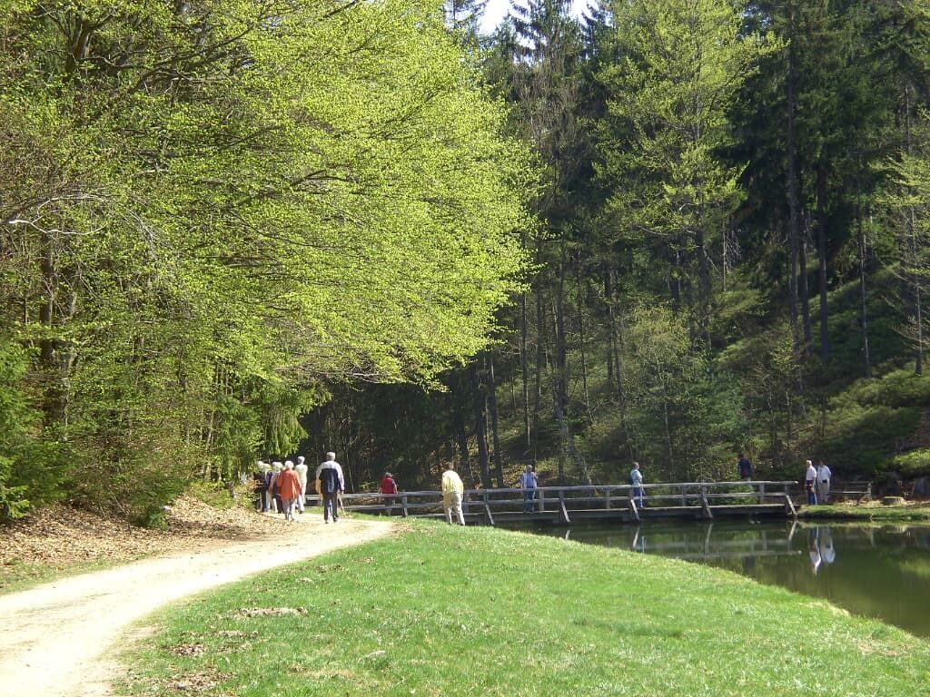 Buchwiesweiher
