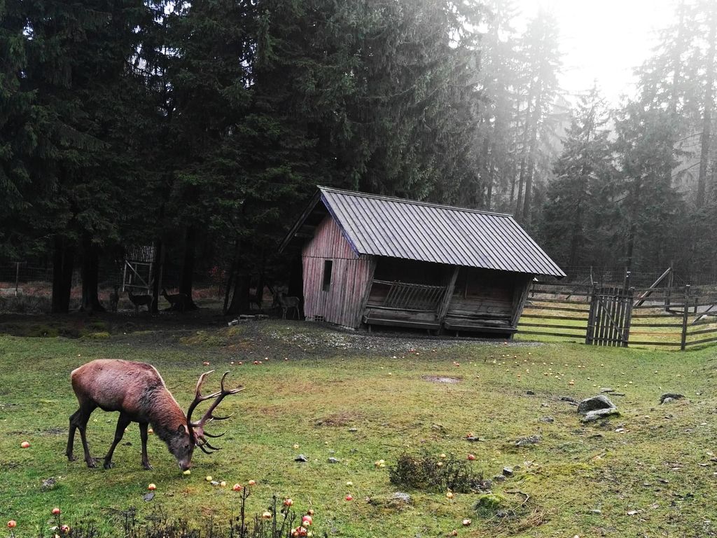 Ferienwohnungen Familie Petrik