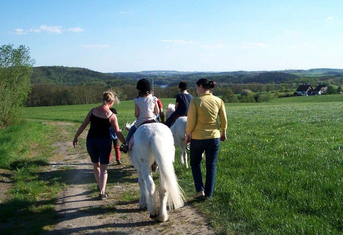 Bild 19