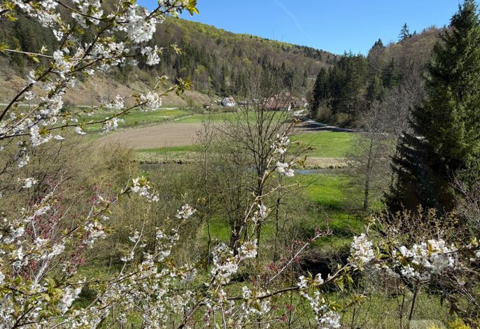 Bild 12