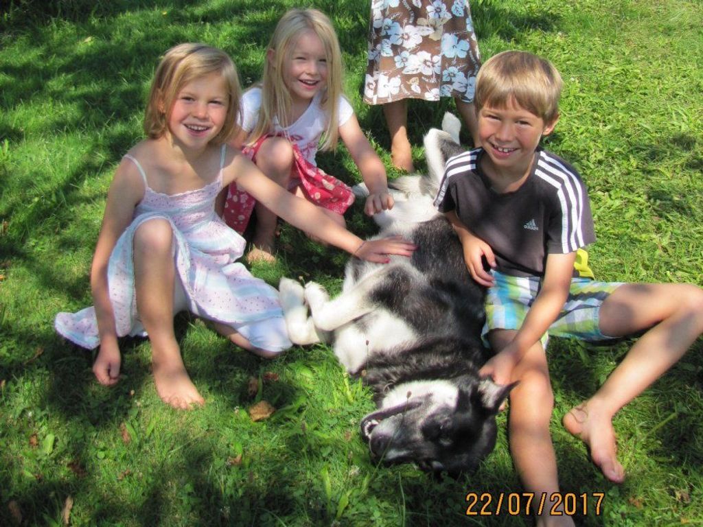 Unser Hofhund im Glück