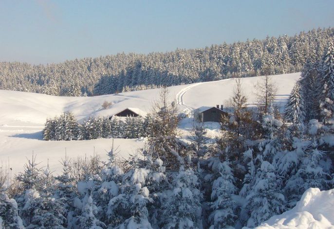 Bild 12