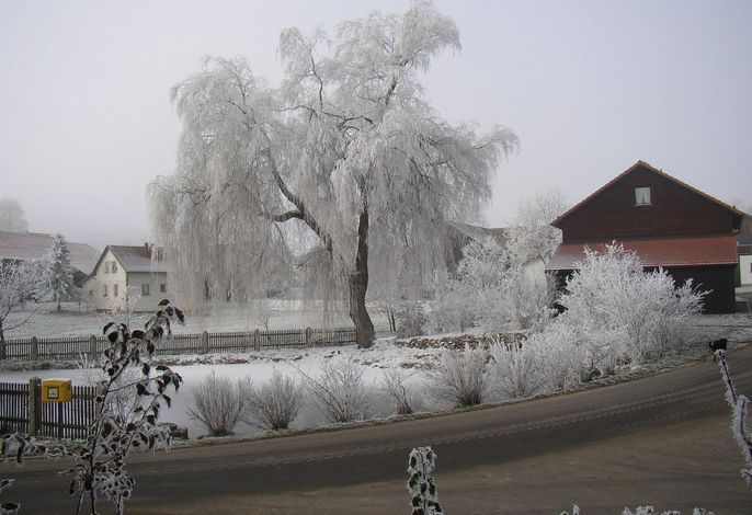 Bild 42