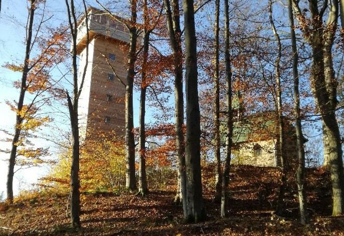 Bild 62