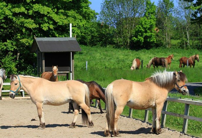Bild 15