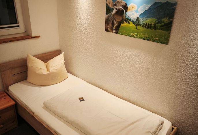 Doppelzimmer mit Doppelbett und Dusche / WC