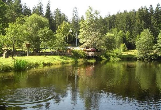 Bild 8
