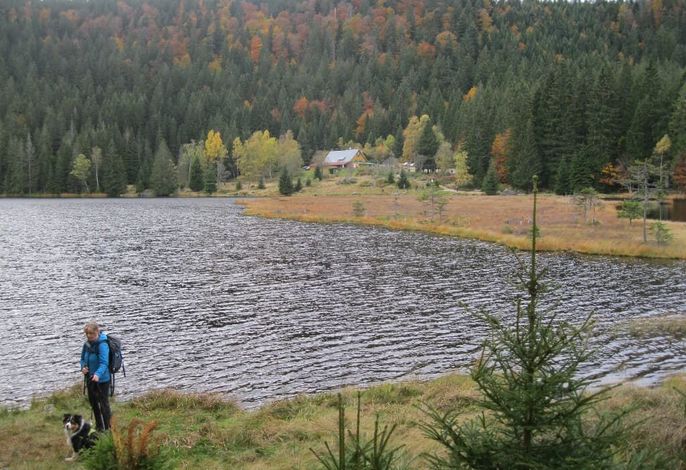 Bild 57