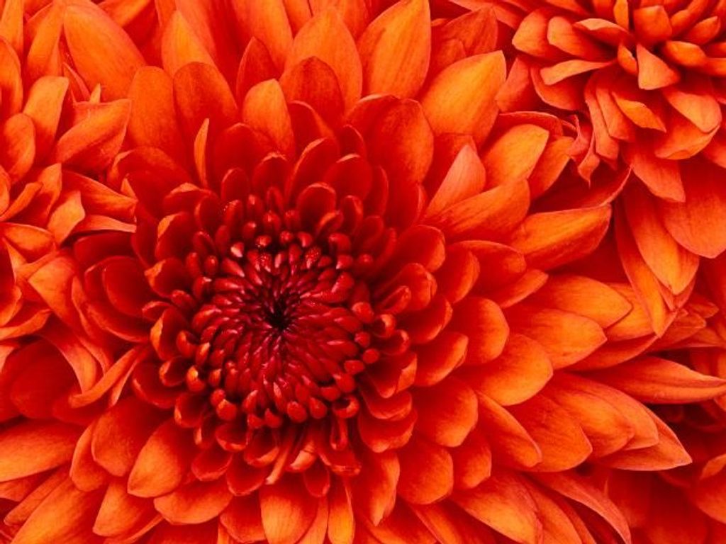 Bild03