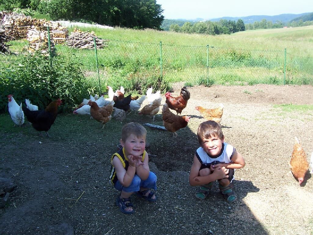Tiere füttern