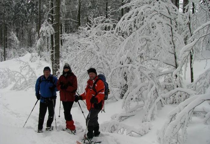 Bild 11