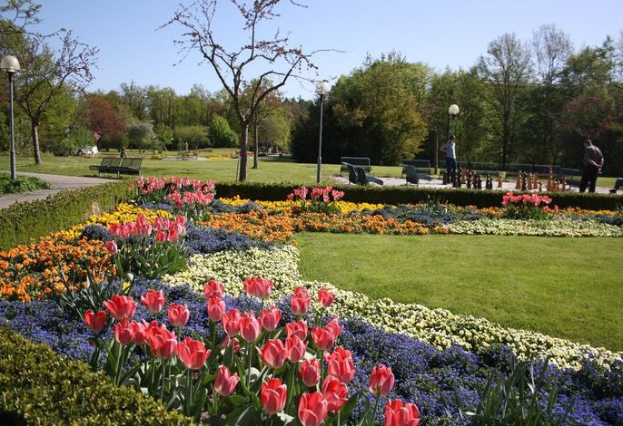 Bild 13