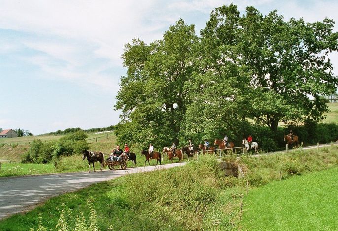 Reiterlandhof