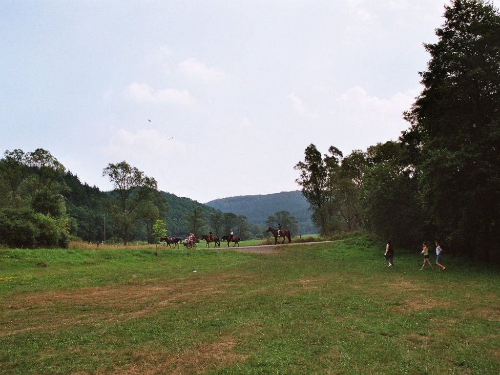 IMAGE0000_36A
