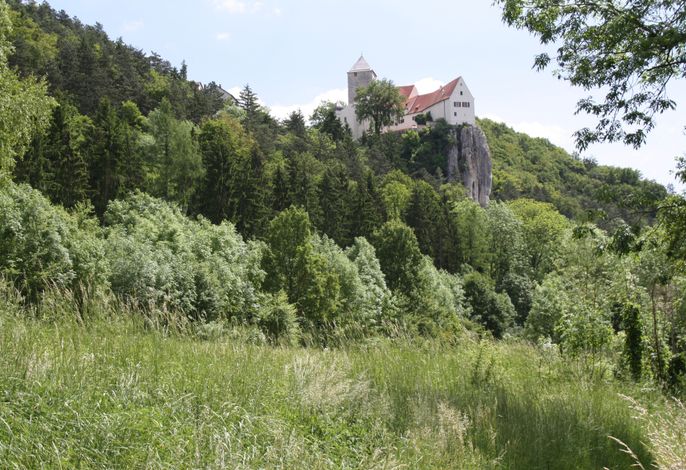 Bild 8