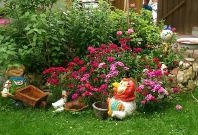 Bild 49