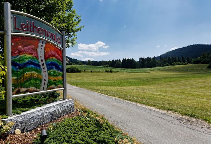 Bild 50