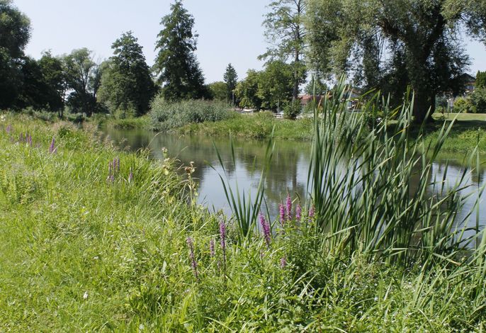 Bild 12