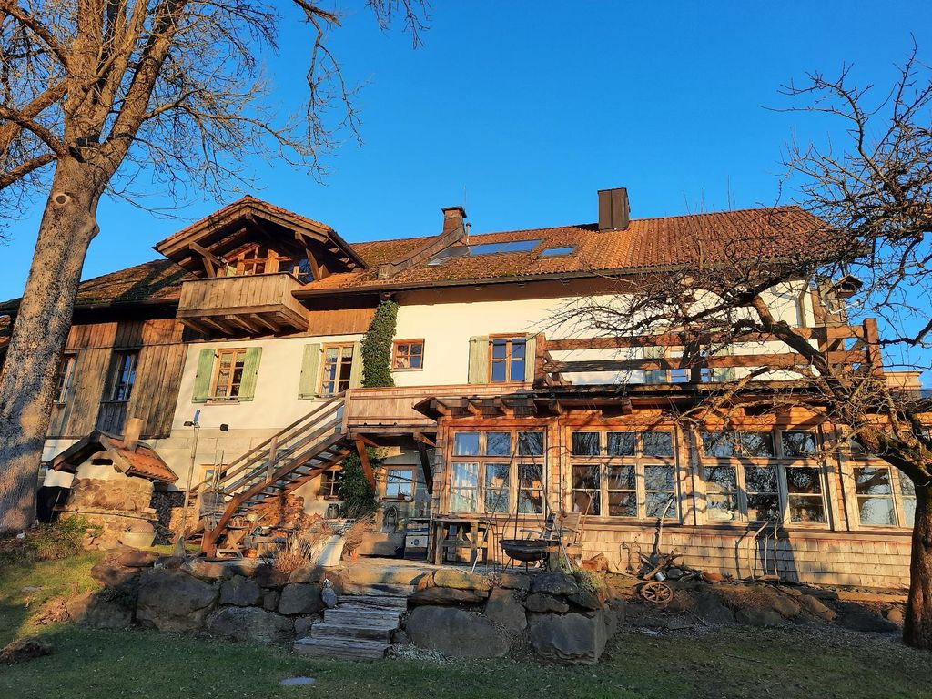 Frühlingsabendsonne