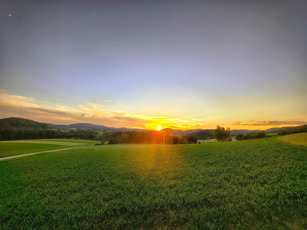 Ausblick vom Garten