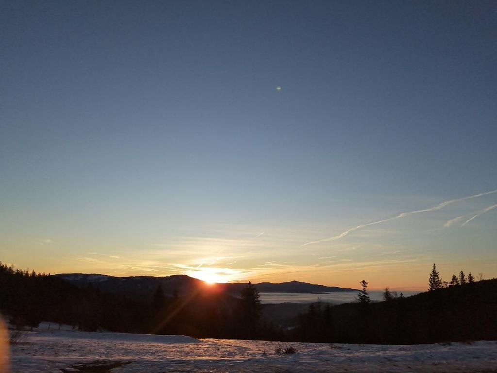 Aussicht Arber-Alm