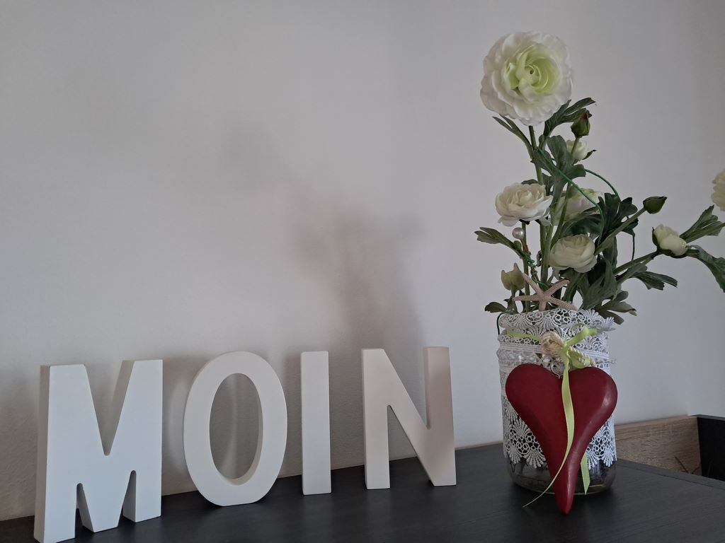 MOIN MOIN