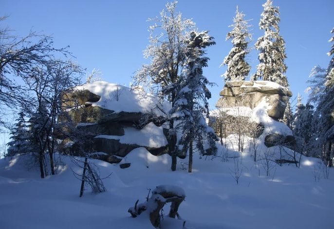 Bild 16