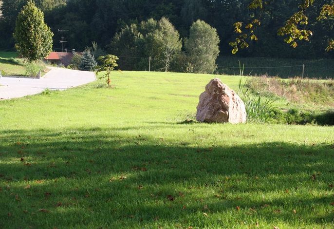 Bild 12