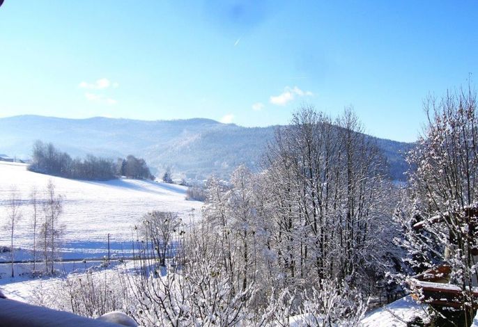 Bild 15
