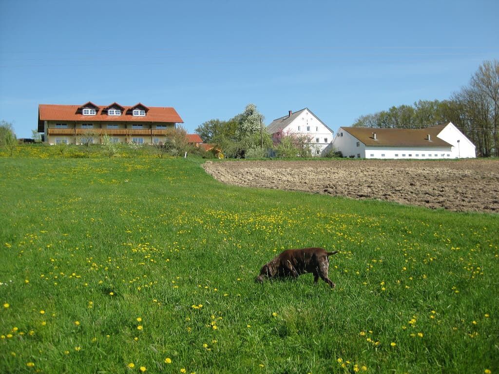 Ferienhof Rieger .jp