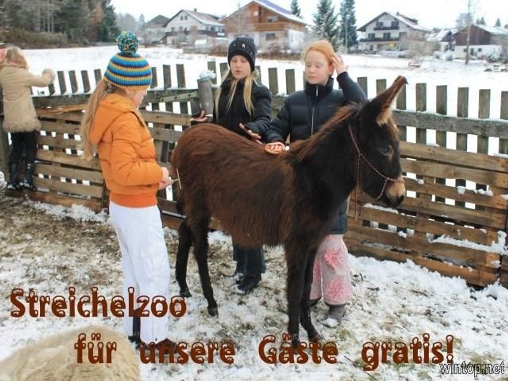 Hotel-Pension Schäfflerhof