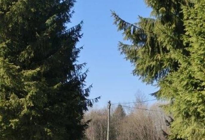 Bild 19