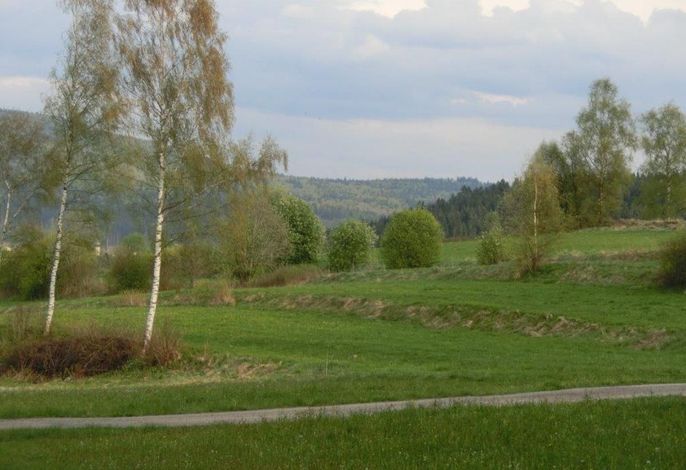 Bild 24