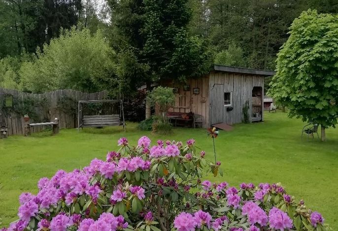 Bild 12