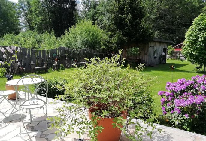 Bild 11
