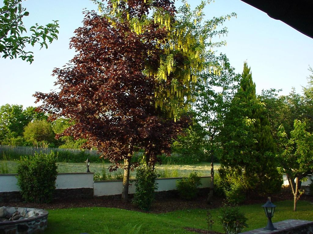 Ferienwohnung Späth