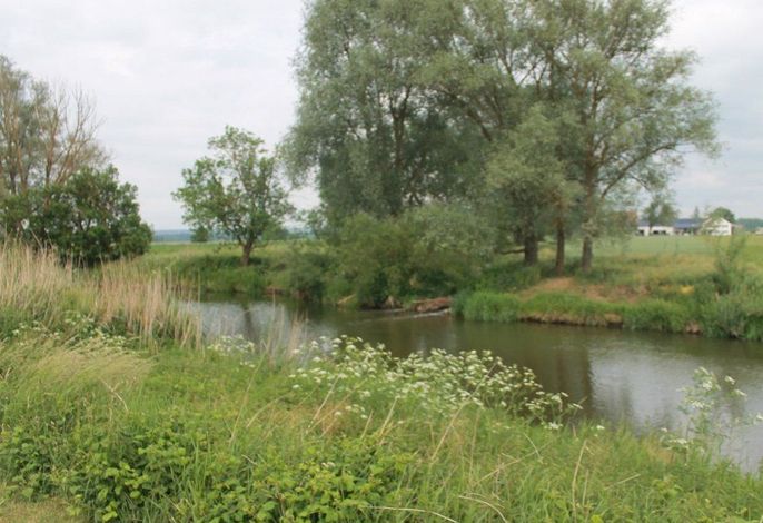 Bild 25