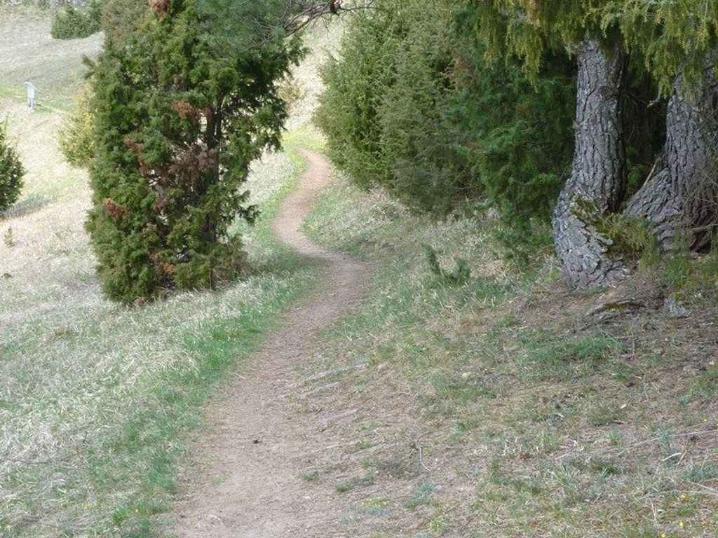 Wacholderwanderweg