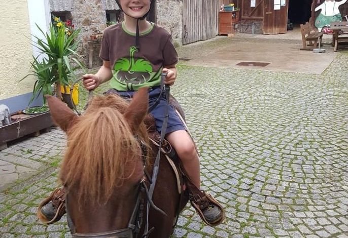 Bild 17