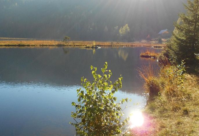 Bild 12