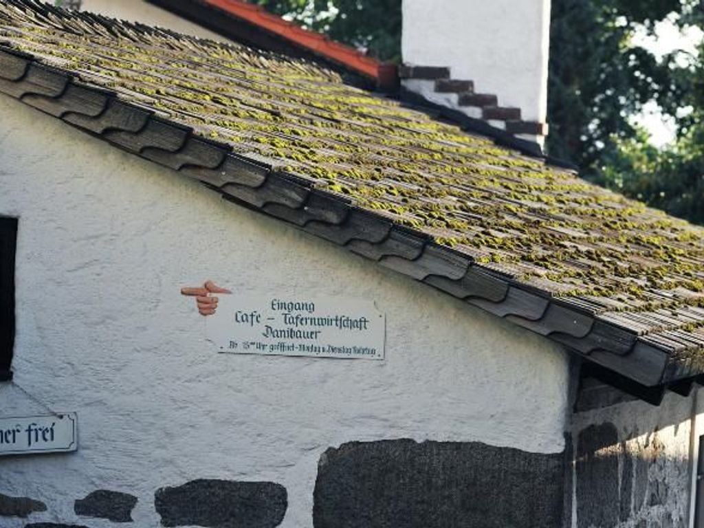 Danibauer