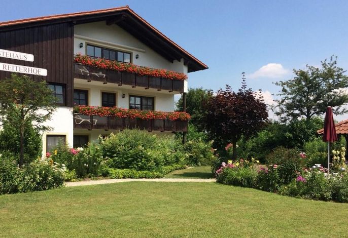 Bild 12