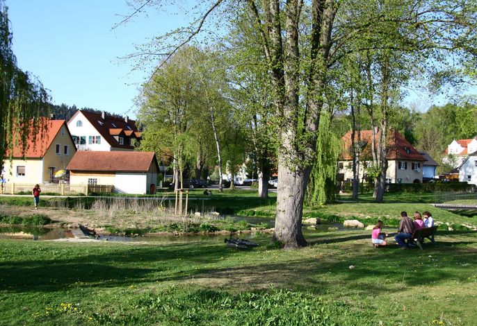 Bild 12