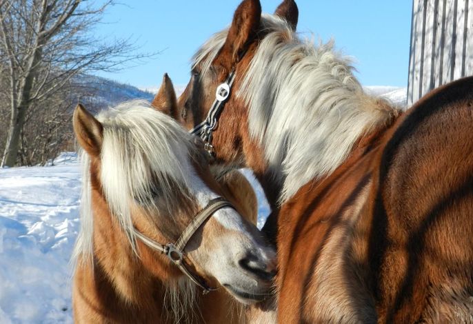 Bild 14