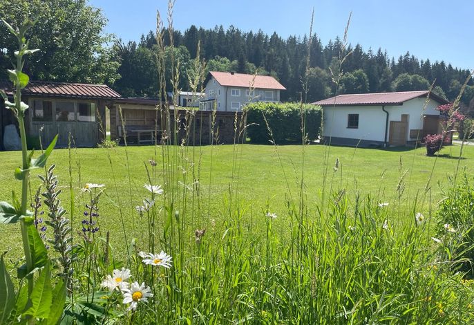 Bild 17