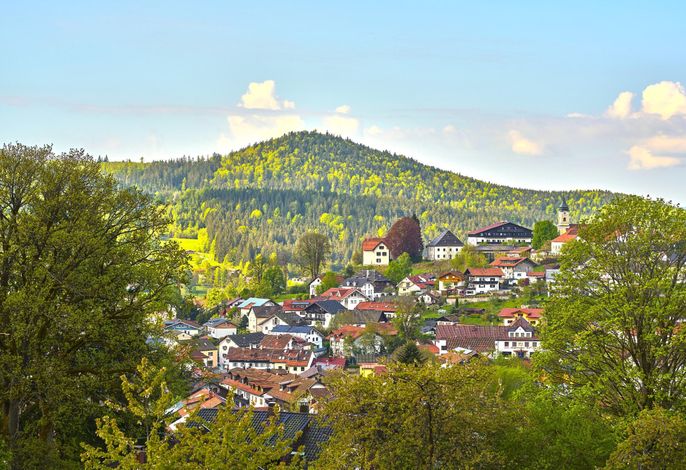 Ferienwohnungen Haus Irene – Foto 5