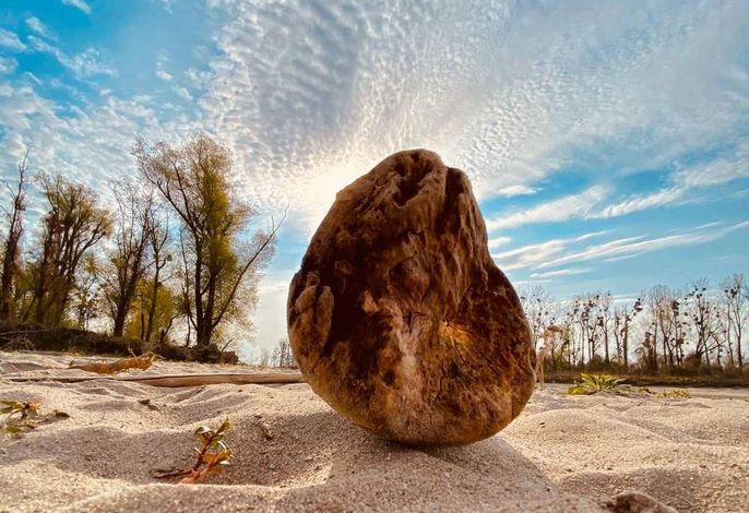 Bild 18