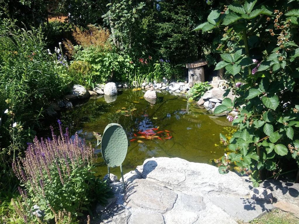 Garten