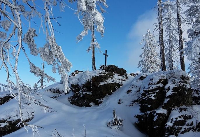 Bild 13